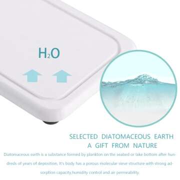 NiuYichee 2-Pack Diatomite Coasters for Bathroom, Kitchen & Laundry – Super Absorbent Stone Trays ...