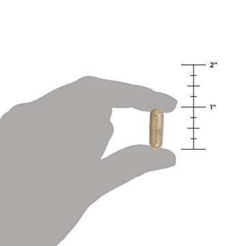 Ancient Nutrition Probiotics, Gut Restore 90ct with Ginger and Fenugreek, Supports Digestive Functions, Reduces Diarrhea, Constipation, Gas and Bloating, Superfoods Blend, 50 Billion CFUs*/Serving