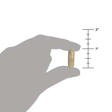 Ancient Nutrition Probiotics, Gut Restore 90ct with Ginger and Fenugreek, Supports Digestive Functions, Reduces Diarrhea, Constipation, Gas and Bloating, Superfoods Blend, 50 Billion CFUs*/Serving