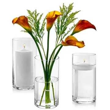 Elegant Set of 3 Glass Cylinder Vases for Decor