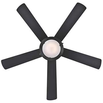 Westinghouse 7224200 Comet Indoor Ceiling Fan with Light, Matte Black