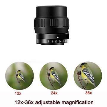 BORWOLF 12-36X60 High Magnification HD Professional Zoom Binoculars Outdoor Hunting Telescope High Power Binoculars for Bird Watching