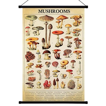 Geyee Vintage Mushroom Poster - Rustic Wall Art for Nature Lovers