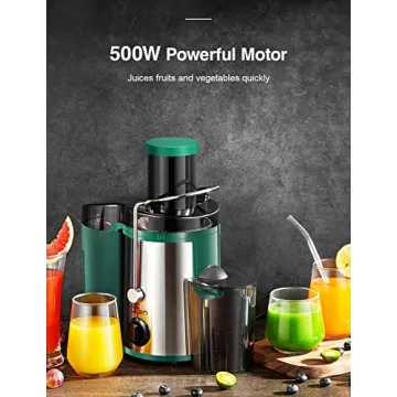 QCen 500W Juicer Machine - Easy to Clean, Stylish, Powerful Juice Extraction