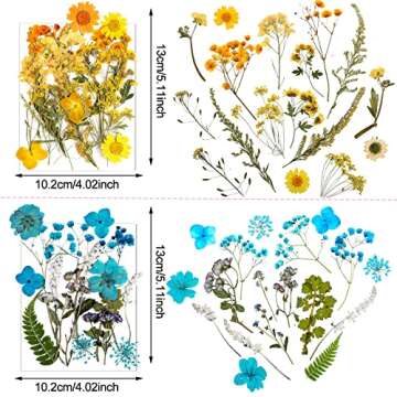Nuanchu Pressed Flowers Bulk Dried Flower for Crafts, Dried Wildflowers Leave Natural with Tweezer for Resin Mold Scrapbooking Nail Soap Making DIY(Delicate Style,Bright Colors)