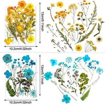 Nuanchu Pressed Flowers Bulk Dried Flower for Crafts, Dried Wildflowers Leave Natural with Tweezer for Resin Mold Scrapbooking Nail Soap Making DIY(Delicate Style,Bright Colors)