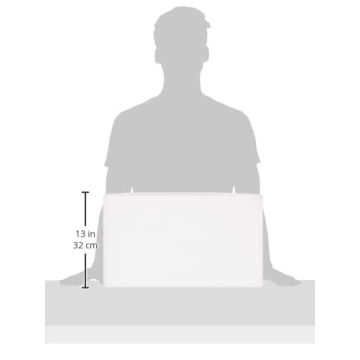 Whitmor Clear Boot Box - Sturdy Stackable Storage Solution