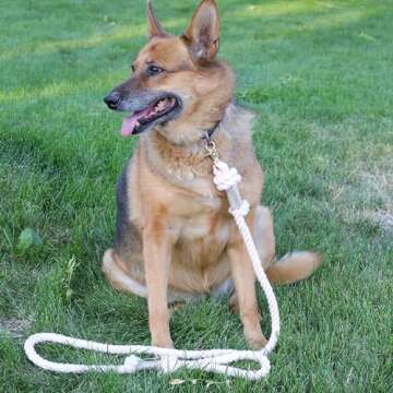 PUPPYSENTIALS Premium Dog Rope Leash, 5ft Soft & Durable Braided Cotton Rope Leash for Medium Dogs/Large Dogs, Lightweight Dog Leash with 360-Degree Snap Clip, Comes with a Handy Designer Gift Bag