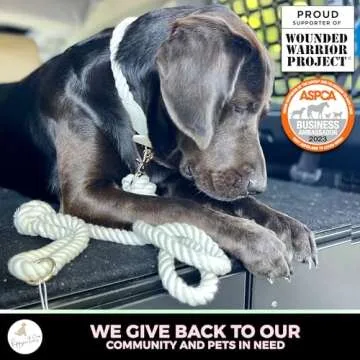 PUPPYSENTIALS Premium Dog Rope Leash, 5ft Soft & Durable Braided Cotton Rope Leash for Medium Dogs/Large Dogs, Lightweight Dog Leash with 360-Degree Snap Clip, Comes with a Handy Designer Gift Bag