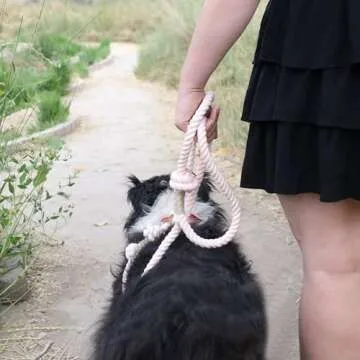 PUPPYSENTIALS Premium Dog Rope Leash, 5ft Soft & Durable Braided Cotton Rope Leash for Medium Dogs/Large Dogs, Lightweight Dog Leash with 360-Degree Snap Clip, Comes with a Handy Designer Gift Bag