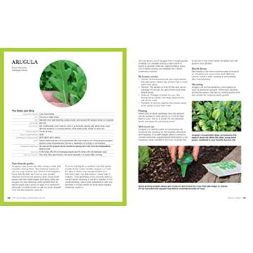 The Vegetable Gardening Book: Your complete guide to growing an edible organic garden from seed to harvest