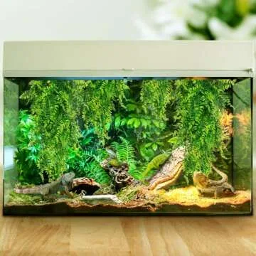 QUOZUO 2 Pack Reptile Plants Terrarium Hanging Plant Artificial Leaves Reptile Hide with Suction Cup, Reptile Tank Accessories for Bearded Dragon Lizard Snake Geckos Chameleon