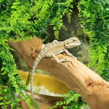 QUOZUO 2 Pack Reptile Plants Terrarium Hanging Plant Artificial Leaves Reptile Hide with Suction Cup, Reptile Tank Accessories for Bearded Dragon Lizard Snake Geckos Chameleon