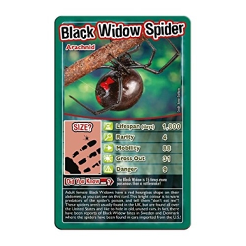 Top Trumps Bugs Card Game for Kids and Family Fun