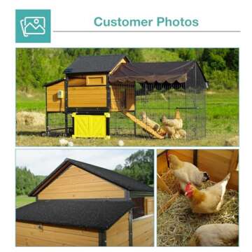 Large Mobile Chicken Coop for 6-8 Chickens | Durable & Convenient