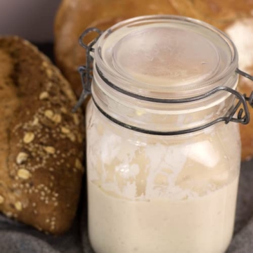 Whole Wheat Sourdough Starter for All Bakers