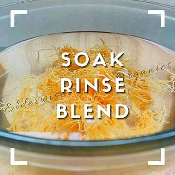 Sea Moss | WILDCRAFTED | 2.5 oz that makes 64 oz of gel | Raw + Non GMO | Sundried | MINERAL RICH | Saint Lucia Sea Moss | GOLDEN