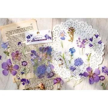 Knaid Botanical Stickers Set (320 Pieces) Pressed Flower Resin Decals Transparent Daisy Tulip Eucalyptus Leaf Mushroom Journaling Sticker for Scrapbook Card Making Junk Journal Bullet Journal Planner