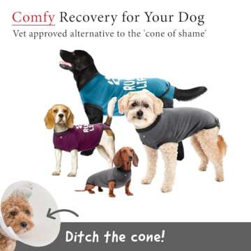 BellyGuard Recovery Suit for Dogs, After Surgery Dog Recovery Suit Female and Male, Soft Cotton Dog ...