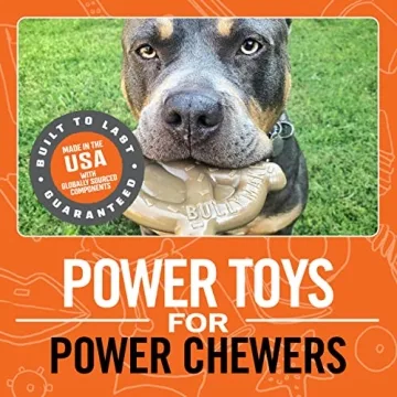 BULLYMAKE Durable Nylon Pretzel Chew Toy for Dogs