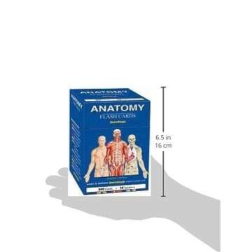 Anatomy Flash Cards: a QuickStudy Reference Tool