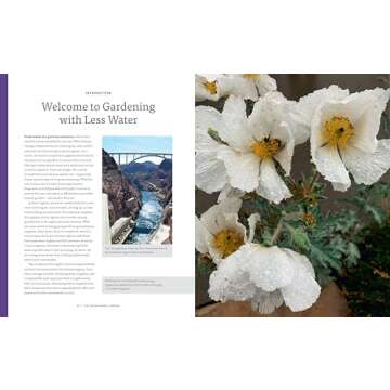 The Water-Smart Garden: Essential Strategies for Desert Gardening