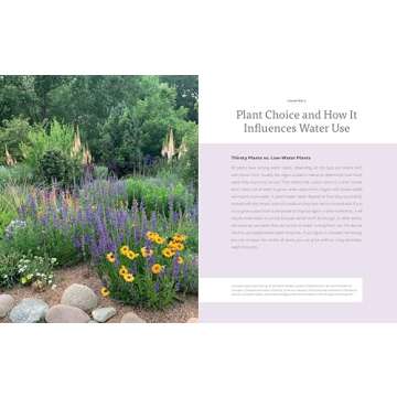 The Water-Smart Garden: Essential Strategies for Desert Gardening