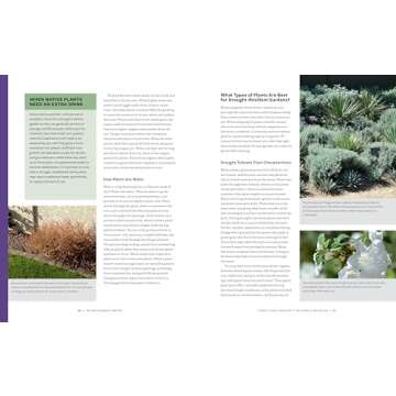 The Water-Smart Garden: Essential Strategies for Desert Gardening