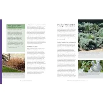 The Water-Smart Garden: Essential Strategies for Desert Gardening