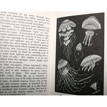 The Observer's Book of Sea and Seashore