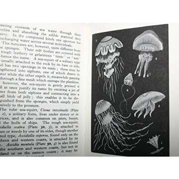 The Observer's Book of Sea and Seashore