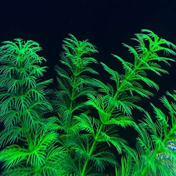 TANOMA Artificial Aquarium Plants Plastic, Fake Plants for Aquarium Fish Tank, Realistic Plant 10PCS