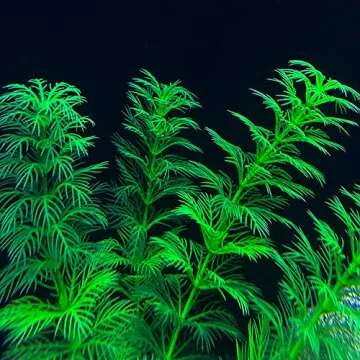 TANOMA Artificial Aquarium Plants Plastic, Fake Plants for Aquarium Fish Tank, Realistic Plant 10PCS