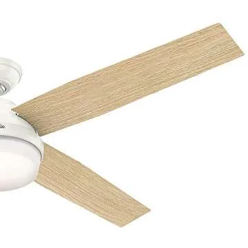Hunter Fan Company 59442 Dempsey Indoor Ceiling Fan with LED Light and Remote Control, 60", White