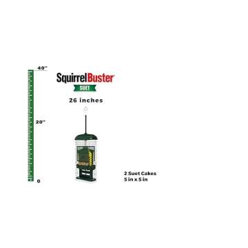 Squirrel Buster Suet Squirrel-proof Suet Bird Feeder w/2 Suet Cake Trays, 2 Crumb Ports, Mess-free S...