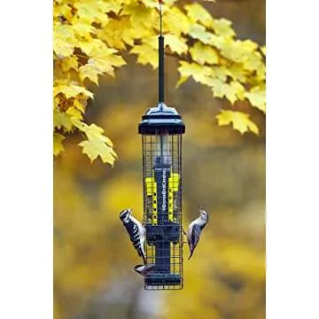 Squirrel Buster Suet Squirrel-proof Suet Bird Feeder w/2 Suet Cake Trays, 2 Crumb Ports, Mess-free Suet Loading,Green