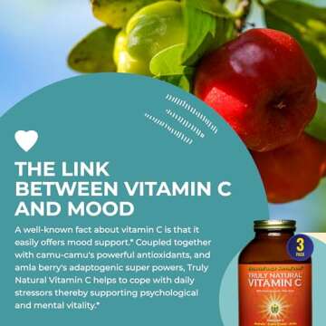 HealthForce SuperFoods Truly Natural Vitamin C - Immune Support Supplement with Camu Camu Berry - Vitamin C Supplement for Immune Health - Vegan, Non-GMO - 400 Grams, 67 Servings