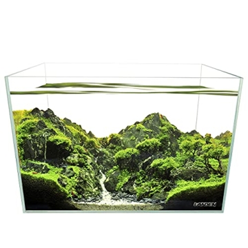 Landen 60H Rimless Low Iron Aquarium Tank 25.4 Gallon
