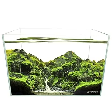 Landen 60H Rimless Low Iron Aquarium Tank 25.4 Gallon