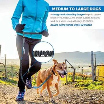 Hands-Free Dog Leash for Running and Hiking