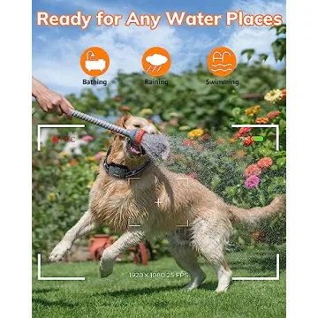 Dog Training Collar Remote 2800FT Waterproof Rechargeable