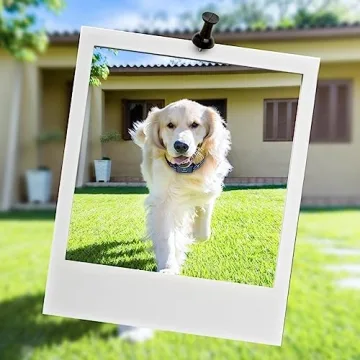 Dog Training Collar Remote 2800FT Waterproof Rechargeable