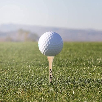 Durable Bamboo Golf Tees Gift Set for Dads