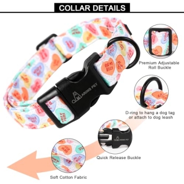 Valentine's Day Dog Collar for All Sizes and Occasions