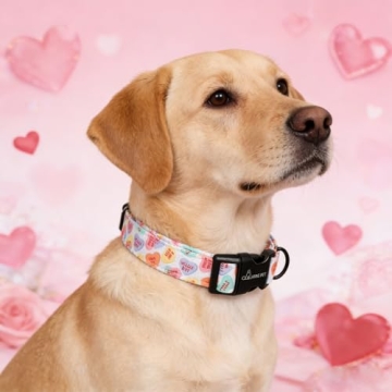 Valentine's Day Dog Collar for All Sizes and Occasions