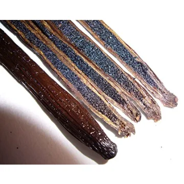 Quality 25 Organic Madagascar Vanilla Beans for All Uses