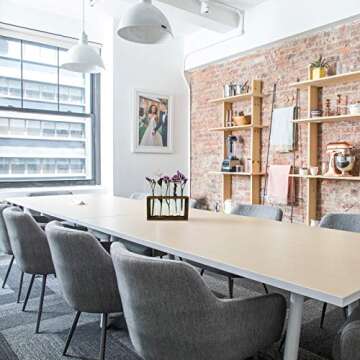 DOTLINE DECO Plant Terrarium Planter Flower Bud Vase Kit- Glass Tube Vase Propagation Station with B...