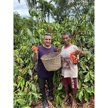 Alovitox Organic Guarana Seed Powder | Raw Guarana Seed Extract, Vegan, Gluten-Free Supplement | Promotes Healthy Digestion & Weight Management | High in Energy Boosting Pure Caffeine Powder - 8oz