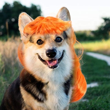 Vibrant Orange Pet Wig for Dogs and Cats - Ideal Costume Accessory