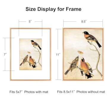 BKABOT 8.5x11 Picture Frame Set of 3, Gold Metal Photo Frames with HD Glass, Fits 5x7 with Mat or 8.5x11 without Mat, Wall Hanging and Table Display
